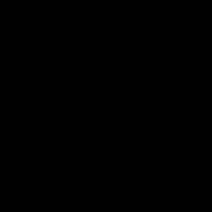 Meet your Posher, Trista